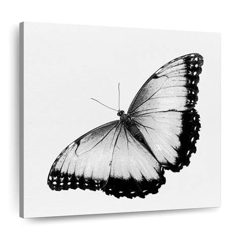 Monochromatic Butterfly Wall Art Photography
