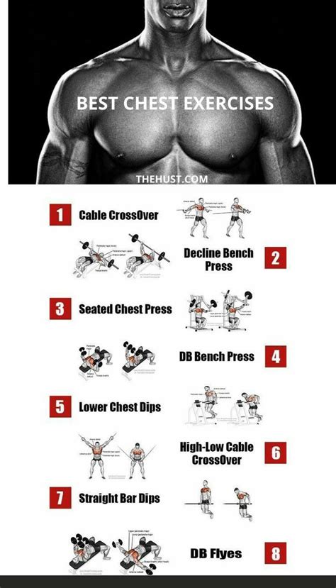 Ultimate Chest Workout Build Muscle And Gain Absorptions