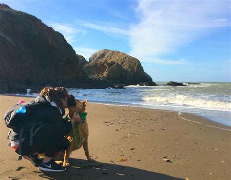 7 Beautiful Dog Friendly Hikes In The Bay Area