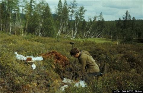 Tunguska Event Scientist Says He Found Meteorite Fragments Possibly