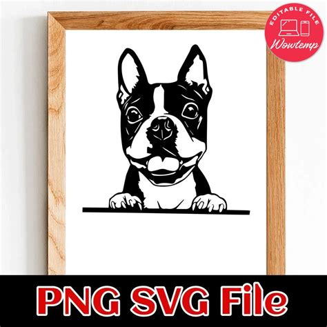 Boston Terrier Png Svg File Template Wowtemp