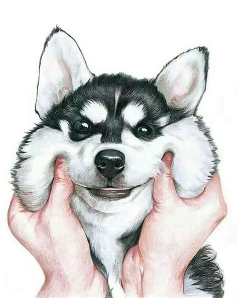Pin By Litzy Vasquez On Art Drawings Husky Drawing Cute Dogs Husky Dogs