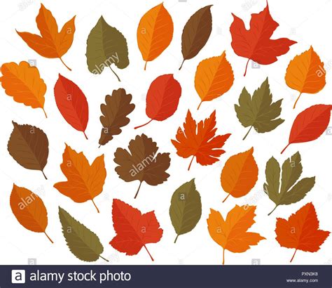 Concept Of Autumn Stock Vector Images Alamy