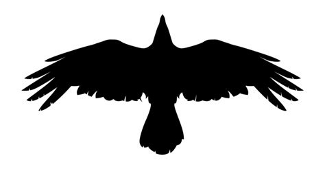Download Crow Png Picture Flying Crow Silhouette Transparent Png