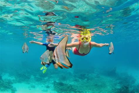 Take Advantage Of The Best Nassau Bahamas Shore Excursions