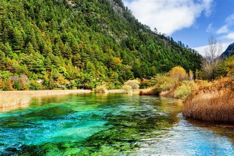 Amazing River With Azure Crystal Water Among Evergreen Woods ⬇ Stock