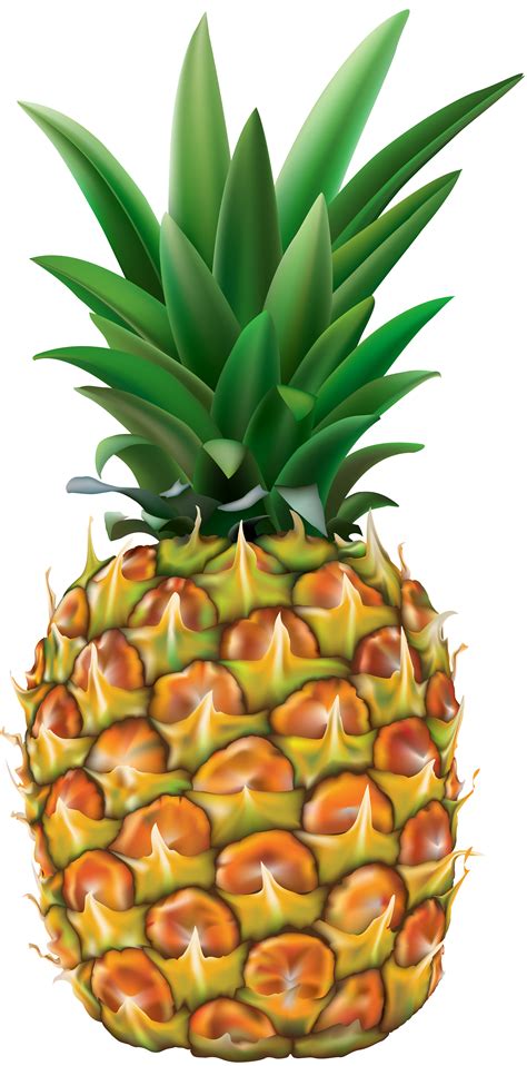 Pineapple Transparent Png Clip Art Image Gallery Yopriceville High