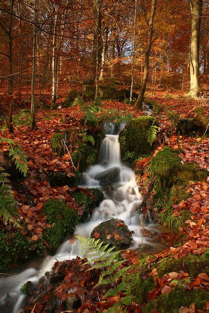 Autumn Waterfall At Hardcastle Crags Nt West Yorkshire England