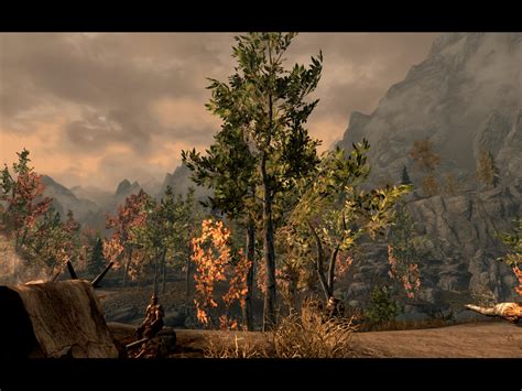 Real Trees At Skyrim Nexus Mods And Community