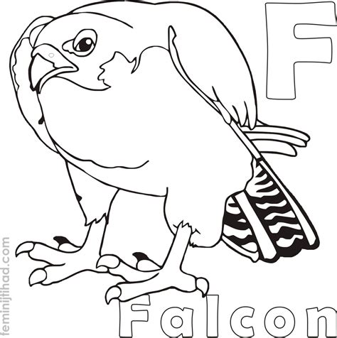 Falcon Coloring Pages Printable Sketch Coloring Page