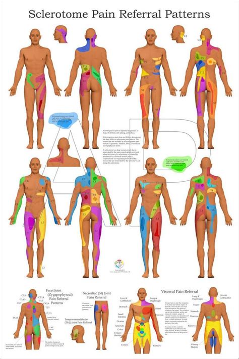 Pin On Body Map