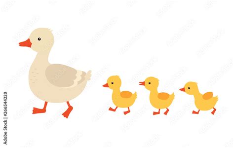 Mother Duck And Ducklings Cute Baby Ducks Walking In Row Cartoon
