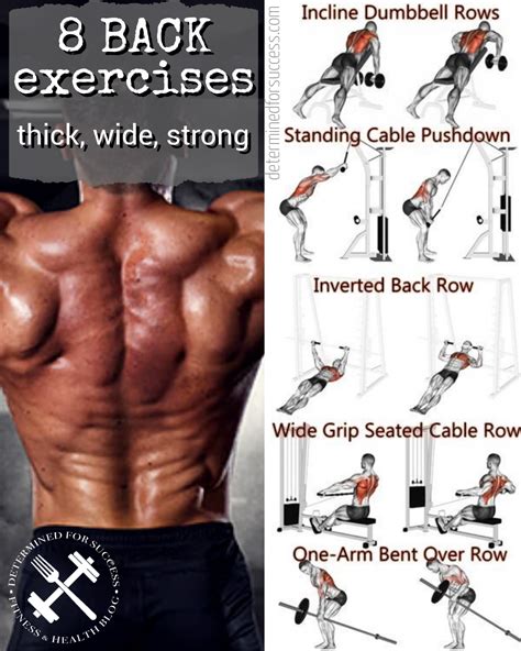 BACK Exercises That Give You A Thicker Wider Stronger BACK Click Here To See More