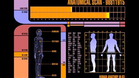 Star Trek Lcars Anatomical Scan 98811915 Youtube