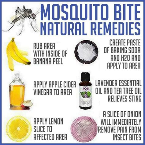 Natural Bug Bite Remediesbaking Soda Works Just Did That Cool