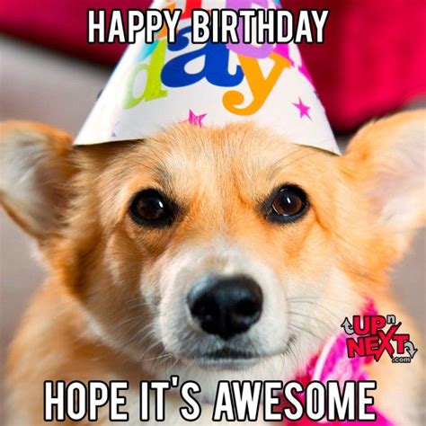 Funny Happy Birthday Celebration Memes Artofit