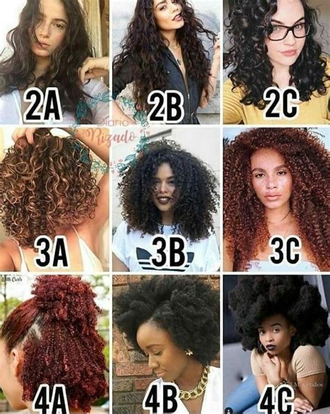 Hair Type Guide Natural Hair Types Curly Hair Types Natural Hair Styles