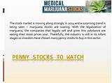 What Is The Best Medical Marijuana Stock To Buy Images