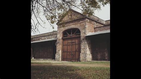 Pasado Y Presente Del Vino Entrerriano En La Bodega Robinson