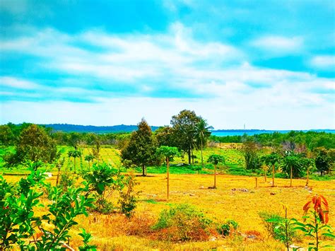 Pemandangan Nyata - 55+ Koleksi Gambar