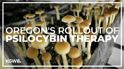 Oregons Rollout Of Psilocybin Therapy Has Been Slow But For Good