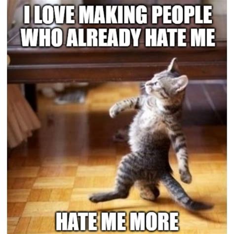 25 Funny Hater Memes Images Jealous Hater Memes Puns Captions