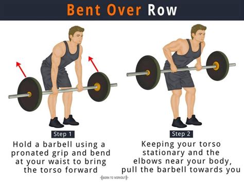 Bent Over Row Born To Workout Born To Workout