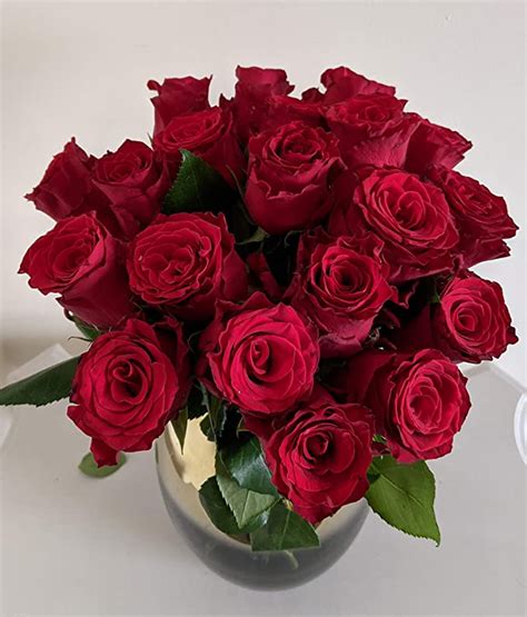 Flowers Delivered Next Day Prime Beautiful Fresh 20 Red Roses Bouquet