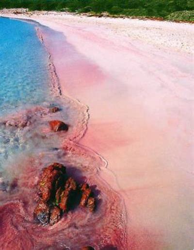 All The Pink Beach Goodness