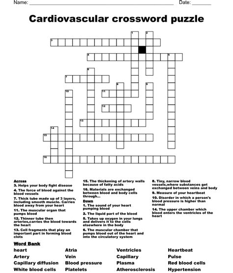 Cardiovascular Crossword Puzzle Wordmint