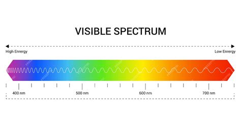 Premium Vector Spectrum Wavelength Visible Spectrum Color Range