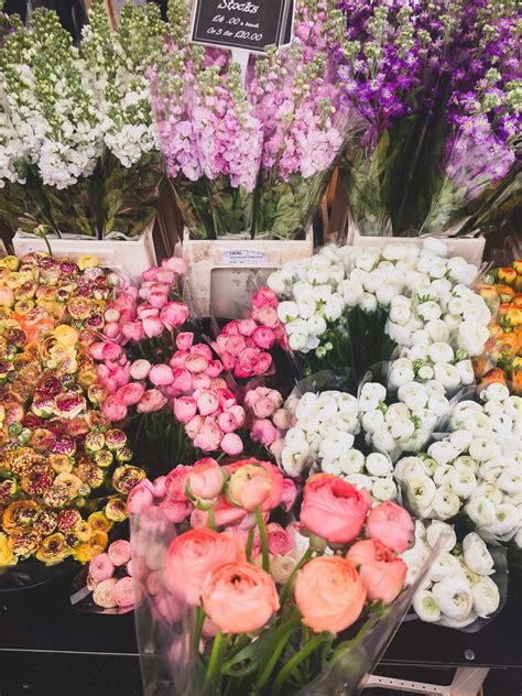 Happily you will never need to buy supermarket flowers again! Columbia Road Flower Market Guide: My Top 3 Tips - DALTON ...