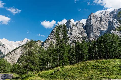 Photos Slovenia Nature Spruce Mountain