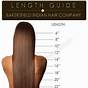 Haircut Length Numbers Chart