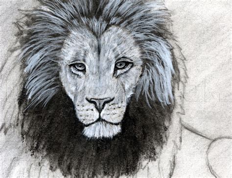 How To Sketch A Lion By Finalprodigy Lion Sketch Easy