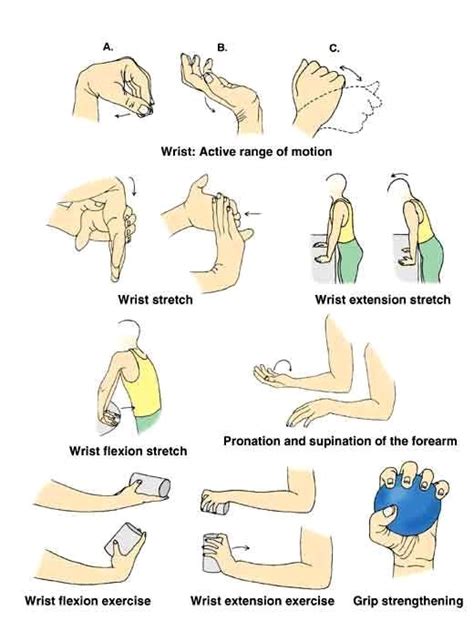 Pin By Augustegehl On Health In Physical Therapy Exercises Hand Therapy Wrist Exercises