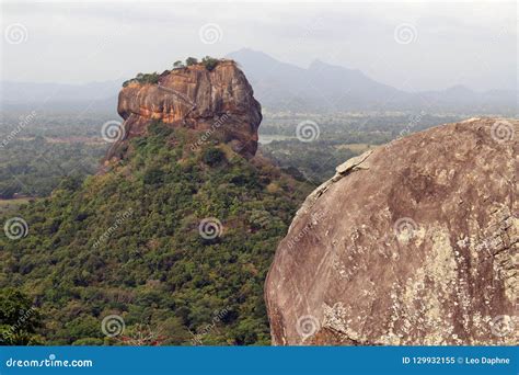 Rocks And Sigiriya The Lion Rock As Seen From Pidurangala Rock