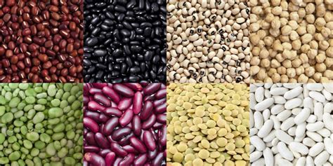 Do You Know Beans Harvest Health Foods
