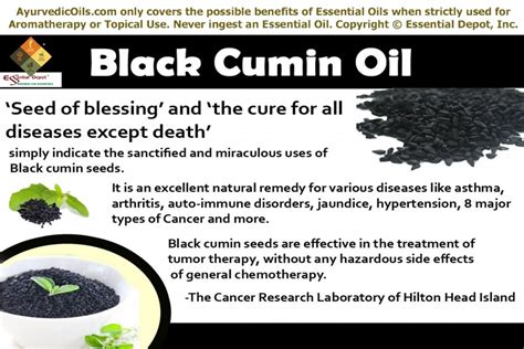 It turns out, black cumin effects the thymus gland, stimulating it. Chemical constituents of Black cumin essential oil ...