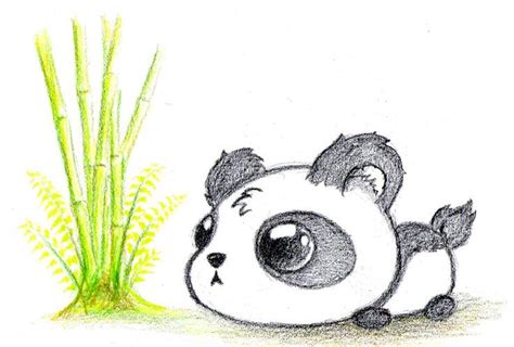 Baby Panda Bears On Pinterest Giant Pandas Panda Bears And Baby