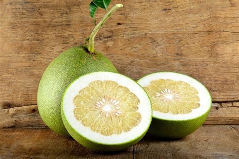 Its fruits are the largest among the commercially grown. Benefits of Pomelo That You Need To Know - The Kitchensurvival
