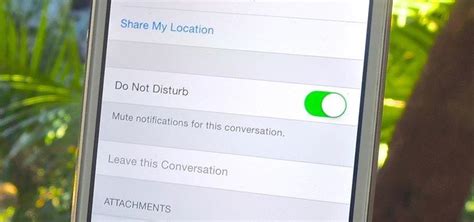 How To Silence Notifications For Specific Message Threads In Ios 8