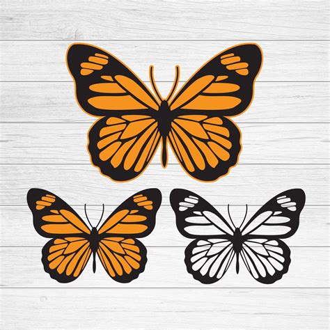 Butterfly SVG Butterfly PNG Butterfly Vector | Etsy | Butterflies