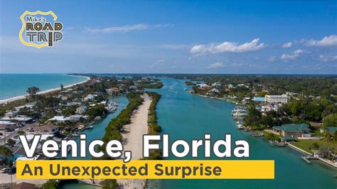A Surprise Trip To Venice Florida Wasnt What She Was Expecting Youtube