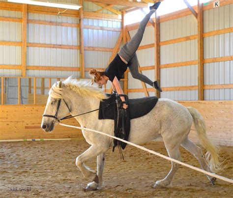 What Is Equestrian Vaulting Vaulting Equestrian Horse Vaulting Horses