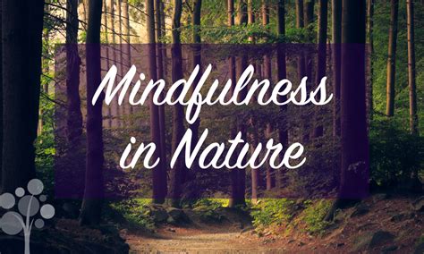 Mindfulness In Nature Jmu