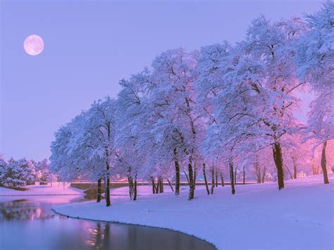 Wallpaper Beautiful Winter Snow Trees River Moon Dusk