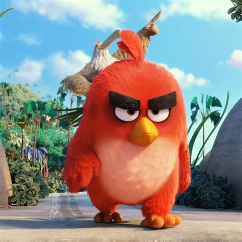 Angry Birds On Twitter Angry Birds Angry Birds Movie Angry Bird