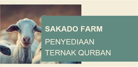 Salah satu faktor yang biasanya sering menjadi kendala adalah masalah yang berkaitan dengan finansial atau. Contoh Surat Penawaran Hewan Qurban Tahun 2020 | Surat ...