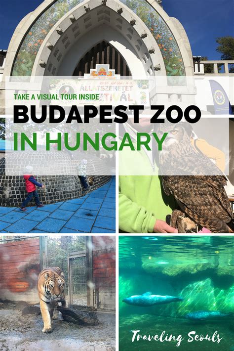 Tour Inside The Budapest Zoo Traveling Seouls Hungary Travel